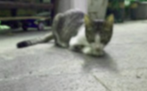 �Һ͌���С؈���ķ���7ƪ