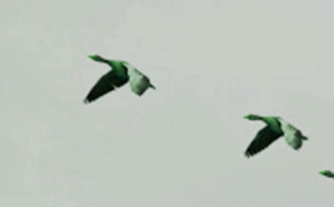 �܂���С�B���ľ�ƪ