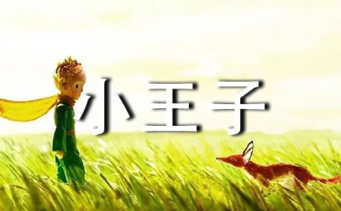 讀《小王子》有感14篇【精選】