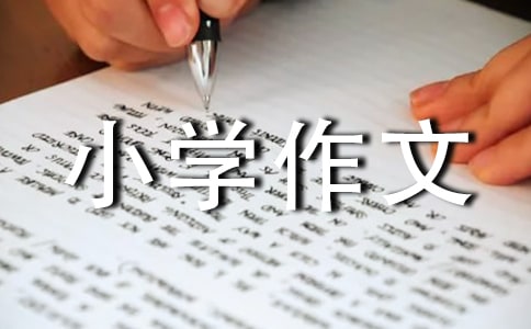 С�W(xu��)���ģ����ֹ�