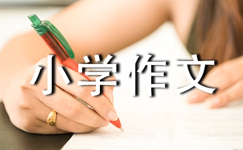 �y�����H�ӻ��С�W����