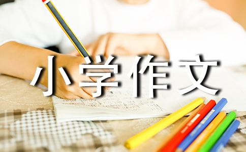 傳統文化的小學作文300字集合七篇