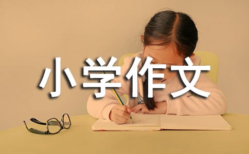 �Һͽ���Σ�CС�W����