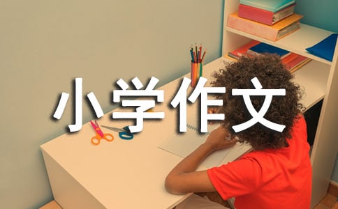 (必備)傳統文化的小學作文