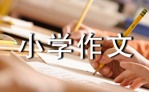 �Ƽ�С�W����