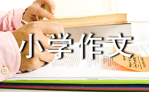 我們未來的能源小學作文
