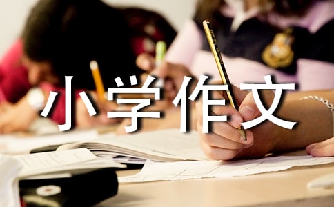 �Ї����y(t��ng)�Ļ�С�W(xu��)����8ƪ���؂䣩