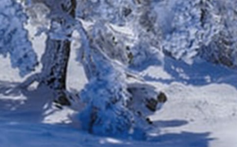 小雪的文案(經(jīng)典)