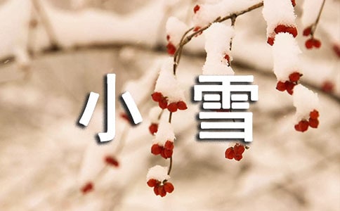 小雪的作文