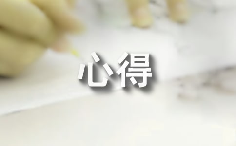試用期的心得