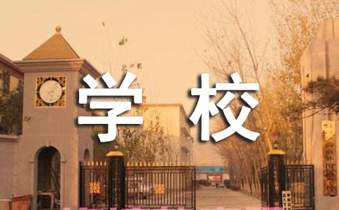 中學校長個人述職報告