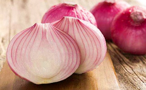 �����[�^�v�Uӛ���и�[�؂�]