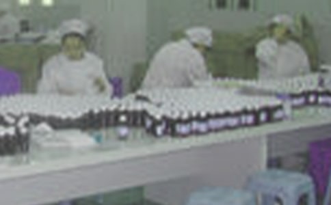 藥廠畢業實習報告