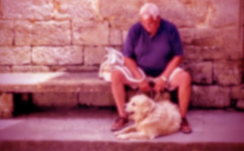 【精華】寫爺爺的作文3篇