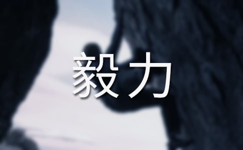關于毅力作文600字(通用46篇)
