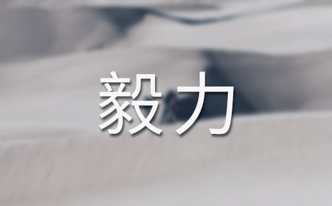關于毅力的作文【集錦10篇】