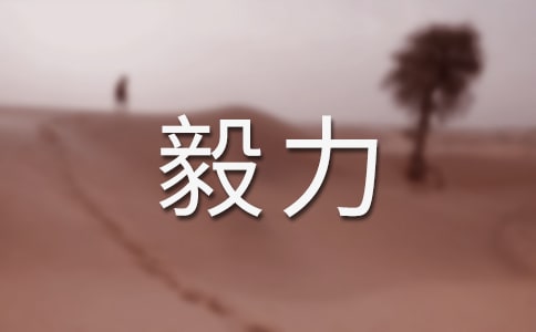 談毅力作文