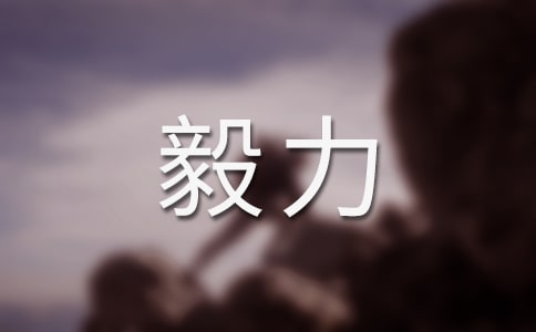 關于毅力的作文(精華)
