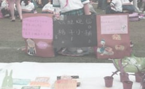 義賣活動(dòng)的作文