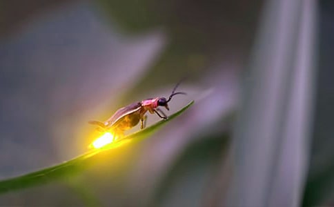 Ξ���x��(hu��)�l(f��)��Ĳ�λ��ԭ��