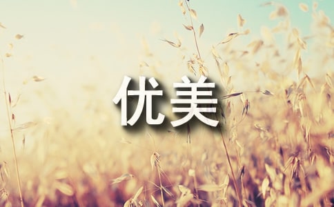 冬至寄語優美短句