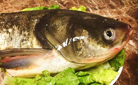 蒸剁椒魚頭的家常做法