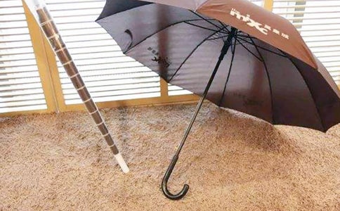 雨傘優秀作文