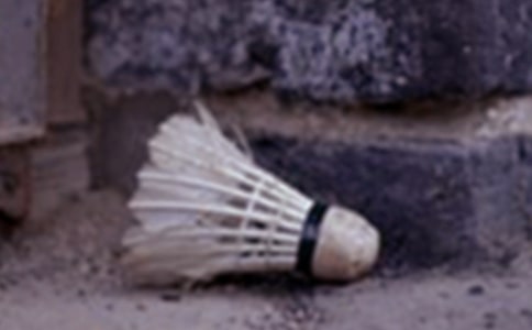 ��ϲ�g����ë�����ă��x[15ƪ]