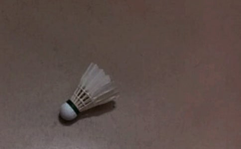 羽毛球比賽作文