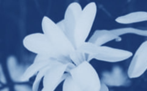 ���m������(����15ƪ)