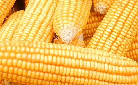����ُ�N��ͬ���\15ƪ