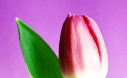 ���������ġ�����15ƪ��