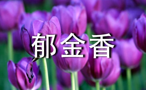 �������㻨չ����