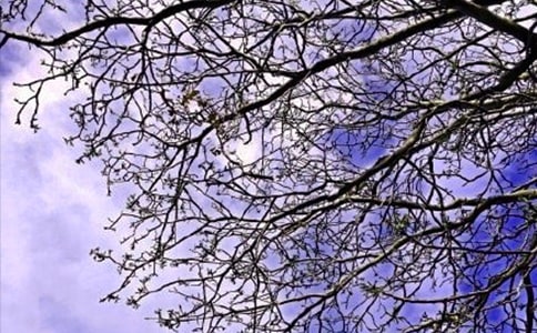 幽默搞笑的早安問候語