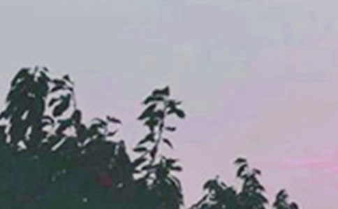早安語錄心靈雞湯