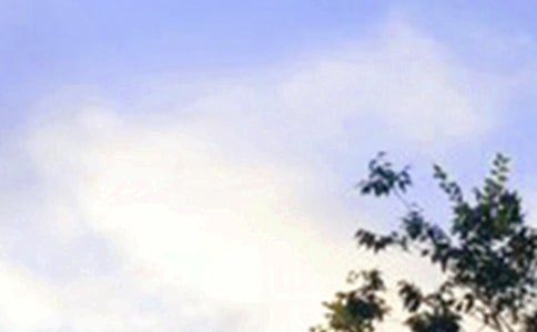 ���õ��簲ף���Z(15ƪ)