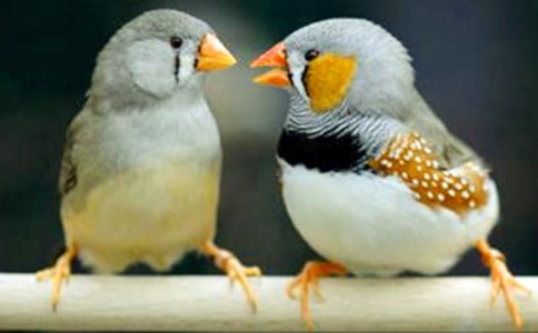 �˽̰�ڶ��n�r�������B�����_�n�̌W�OӋ