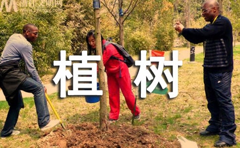 《植樹問題》心得體會