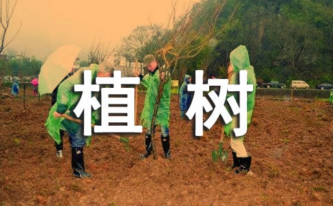 ��ֲ�䆖�}���u�n�僞(y��u)�㣨15ƪ��