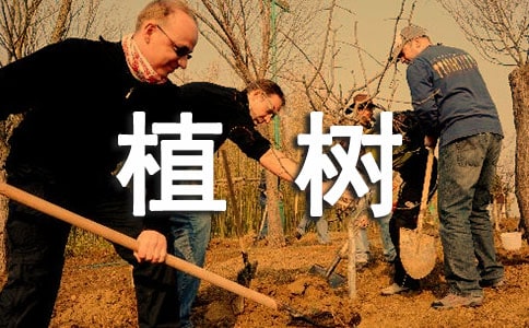 ֲ�䆖(w��n)�}�u(p��ng)�n��ϼ�12ƪ