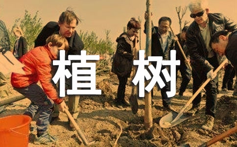 ֲ�俴�D��Ԓ����