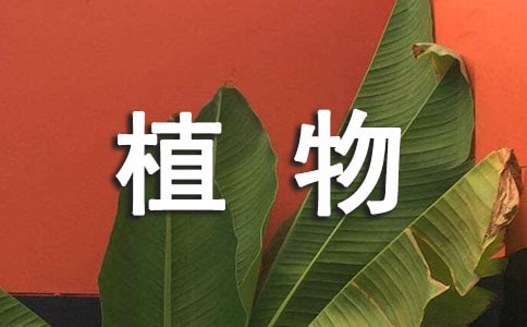 ����Ҿӣ��Ҿ�ֲ��[���Lˮ