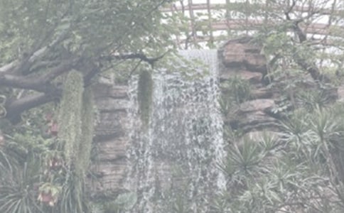 �����ֲ��@����