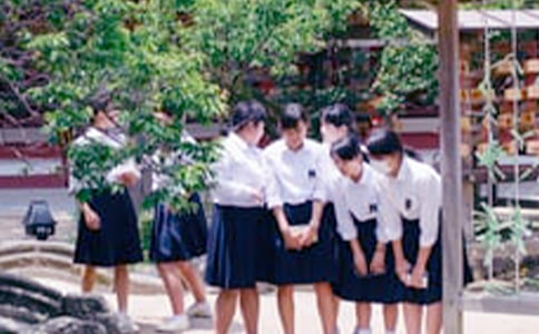 中學(xué)生傳統(tǒng)文化觀后感
