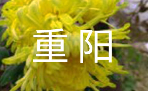 ���(y��ng)���������ȫ-������(ji��)��