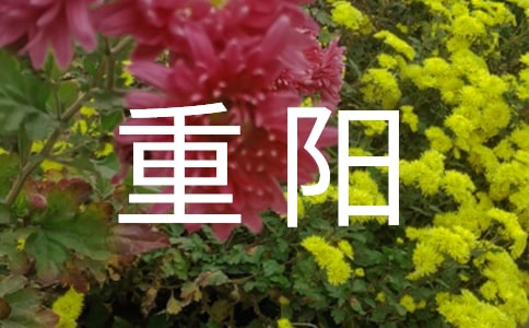 ��ꖾ�������15ƪ������