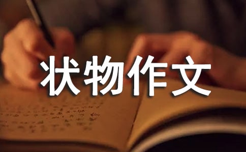【熱門】狀物作文300字集錦10篇