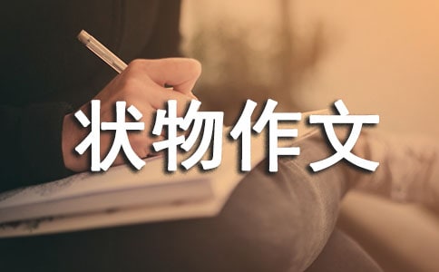 【必備】狀物作文集合八篇