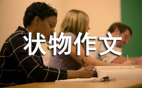 狀物作文300字匯編九篇