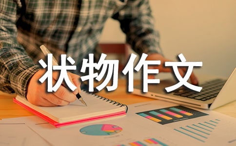 蠶狀物作文